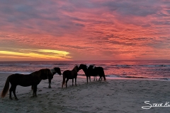 FB-20250929_064221-sig