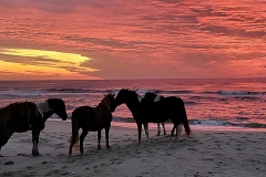 Assateague