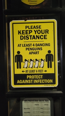 DancingPenguins