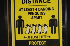 DancingPenguins